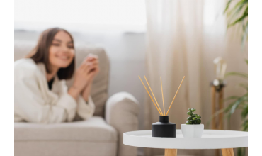 TOP odorizante de cameră în 2026 - ce soluții să alegi pentru un parfum plăcut și durabil în interior